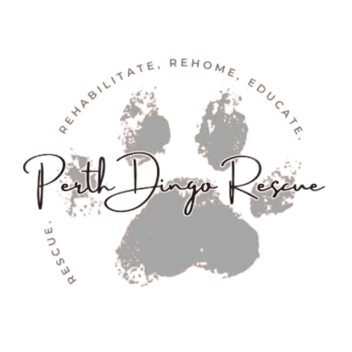 Perth Dingo Rescue