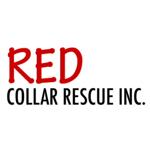 Red Collar Rescue Inc