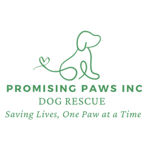 Promising Paws Inc