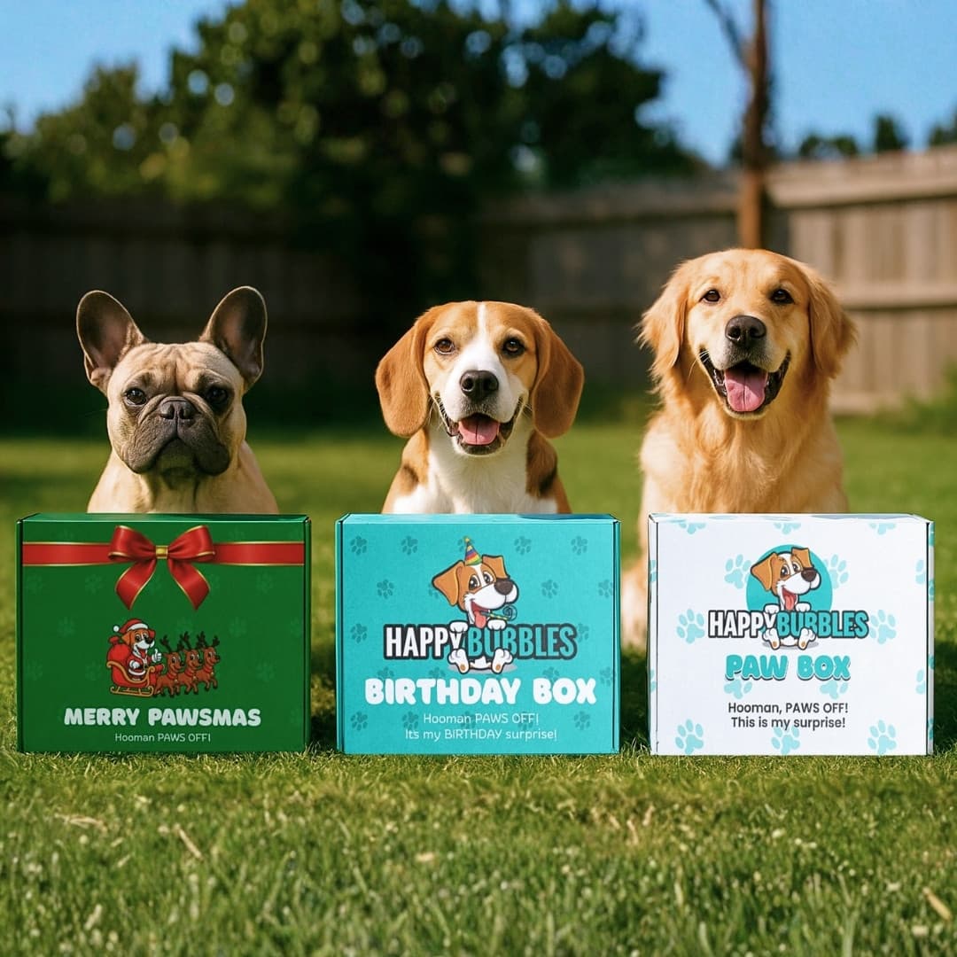 Paw Box Banner